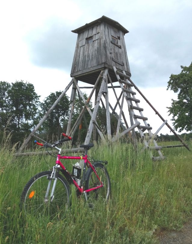 Žabka - dobře schovaná pískovcová věž v Děvínském polesí
