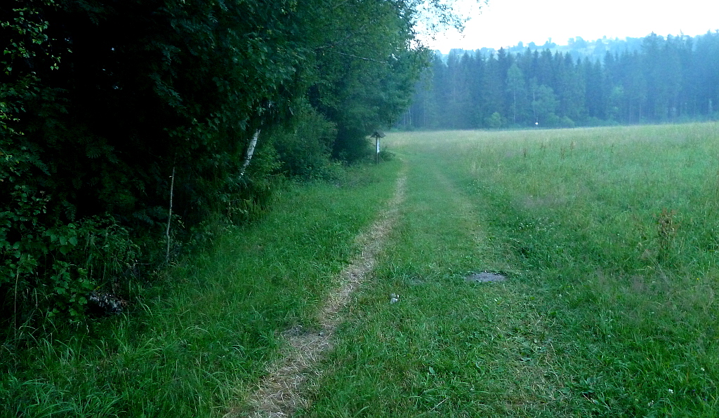Cestička v přírodní rezervaci Bukovec vede k nejvýchodnějšími bodu České republiky.