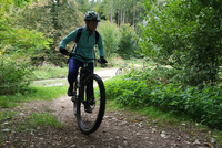 Trail podél Černého potoka v Rychlebech Trail podél Černého potoka v Rychlebech