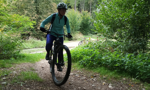 Trail podél Černého potoka v Rychlebech Trail podél Černého potoka v Rychlebech