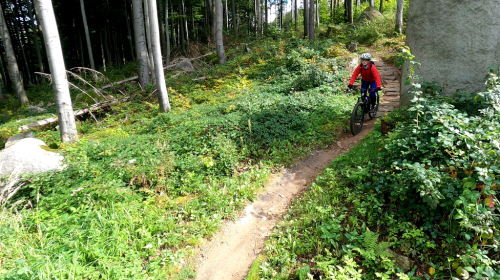 Traily a bikeparky v Jeseníkách