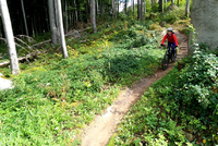 Traily a bikeparky v Jeseníkách Traily a bikeparky v Jeseníkách