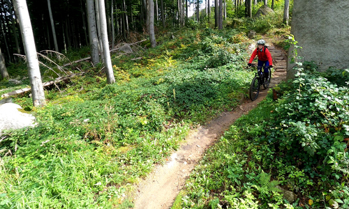 Traily a bikeparky v Jeseníkách Traily a bikeparky v Jeseníkách