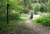 Trail podél Černého potoka v Rychlebech