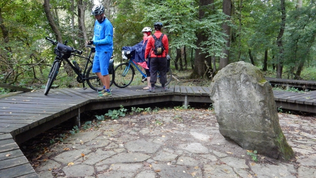 Moravská Dyje a rakouská Thaya