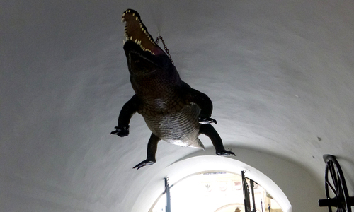 Velo stage uvede na Majálesu hvězdy současného hiphopu a rapu Velo stage uvede na Majálesu hvězdy současného hiphopu a rapu