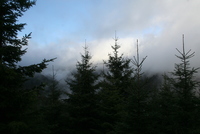 Noc tuleních pásů se stala kořistí Grohových Noc tuleních pásů se stala kořistí Grohových