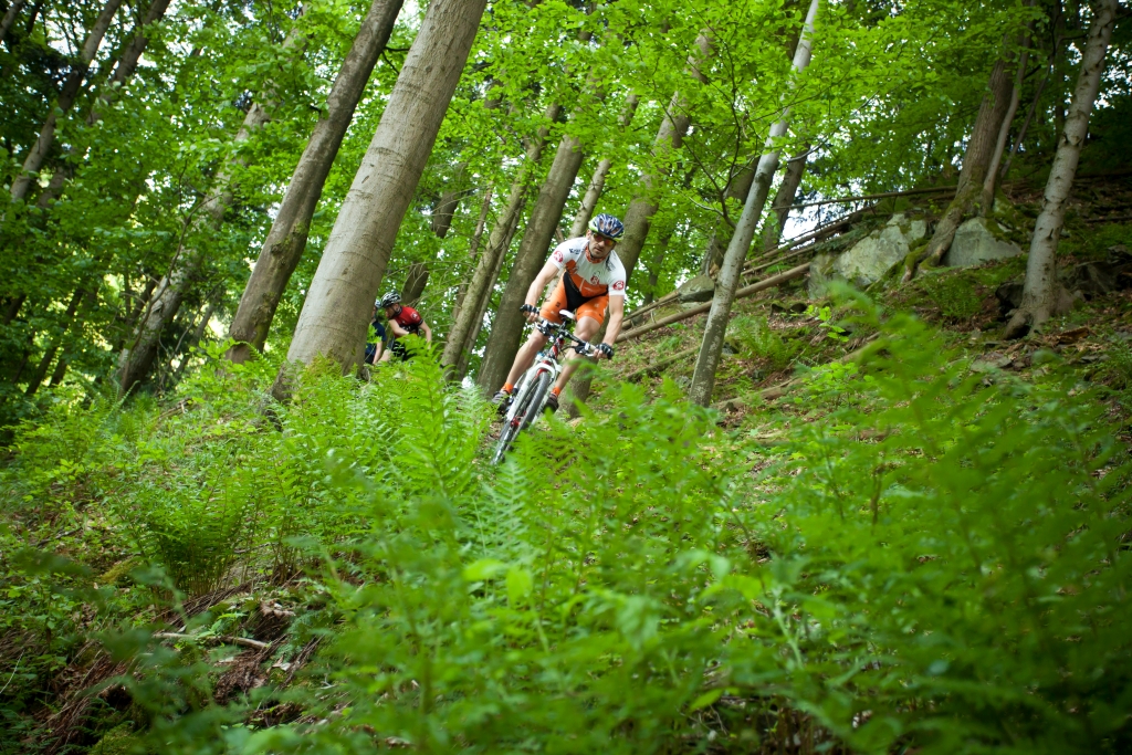 Náchodská vrchovina MTB.