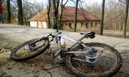 Soudy rozhodují o vlivu v ČeMBA Soudy rozhodují o vlivu v ČeMBA