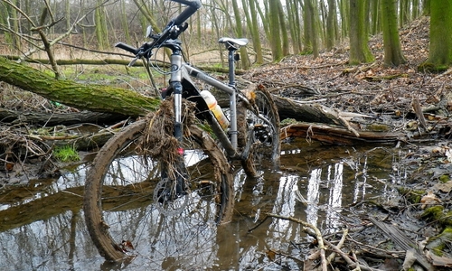 Primavera k prameni Rokytky Primavera k prameni Rokytky