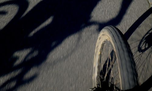 Reakce pana primátora Reakce pana primátora