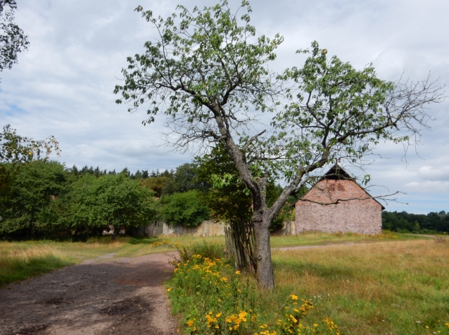 Kamení, kopce a prudké sjezdy