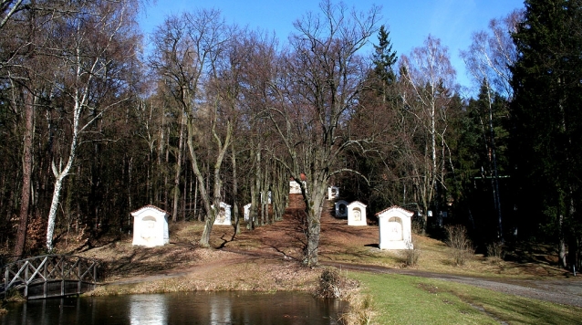 Kamení, kopce a prudké sjezdy