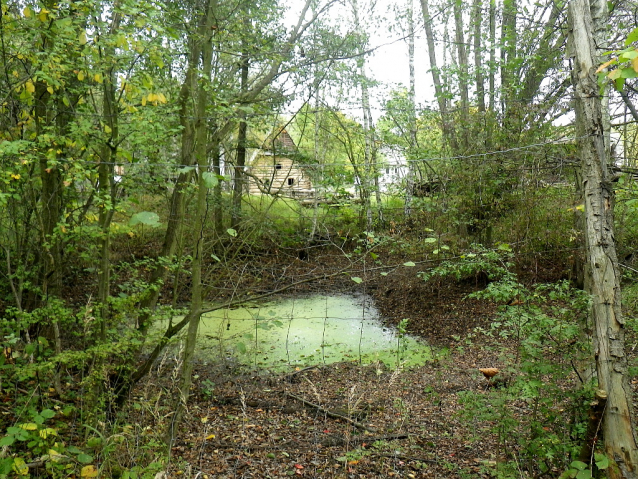 Z metropole na Karlštejn