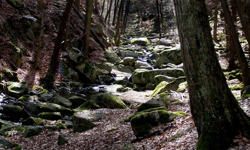 Šembera - výlet podél říčky Šembera - výlet podél říčky