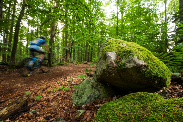 5x Vysočinou na kole: cykloturistika, gravel, singletrack