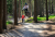 5x Vysočinou na kole: cykloturistika, gravel, singletrack