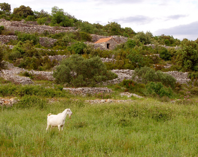 Korčula v sedle