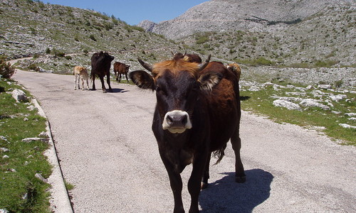 Chorvatské hory Biokovo, Velebit, Dinara a Mosor