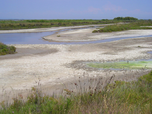 Camargue: cykloturistika za plameňáky