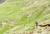 Livigno: jump, dirt, northshore, flow, bikepark, freeride