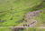 Livigno: jump, dirt, northshore, flow, bikepark, freeride