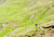 Livigno: jump, dirt, northshore, flow, bikepark, freeride