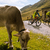 Carosello 3000: flow biking Livigno Carosello 3000: flow biking Livigno