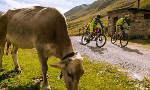 Livigno: evropská destinace pro bikery a cyklisty