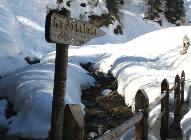 Livigno: jump, dirt, northshore, flow, bikepark, freeride