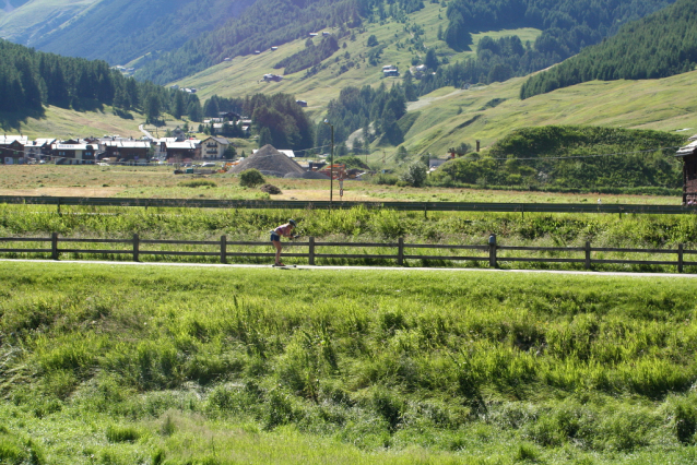 Carosello 3000: flow biking Livigno