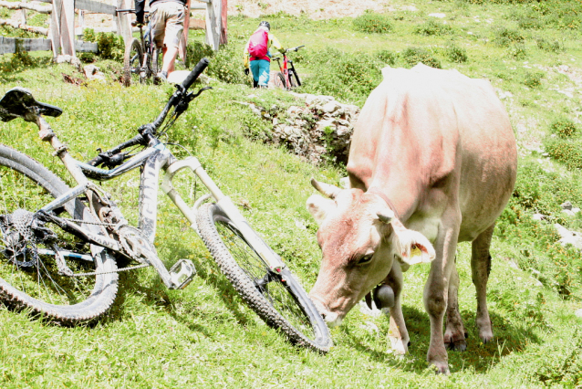 Carosello 3000: flow biking Livigno