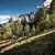 Sella Ronda na silničním nebo horském kole? Obojí stojí za to