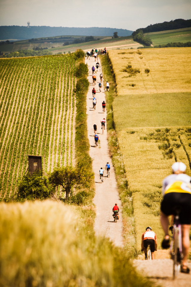 In Velo Veritas – největší cyklistická podívaná ve Weinviertel