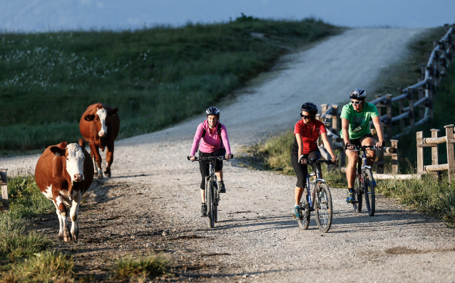 Tirol Mountain Bike Safari: 15 dní přes rakouské hory