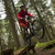 Bikepark Tirol v Matrei pod Europabrücke  Bikepark Tirol v Matrei pod Europabrücke