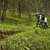 Bikepark Tirol v Matrei pod Europabrücke 