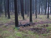 Cyklista narazil u Mříče do stromu v lese a přišel o život