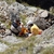 FOTOGALERIE: Záchrana ve Wallisu FOTOGALERIE: Záchrana ve Wallisu