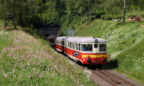 Krkonošská železnice v Martinicích Krkonošská železnice v Martinicích