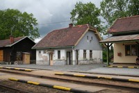 Nenápadná krása kamenických lesů Nenápadná krása kamenických lesů