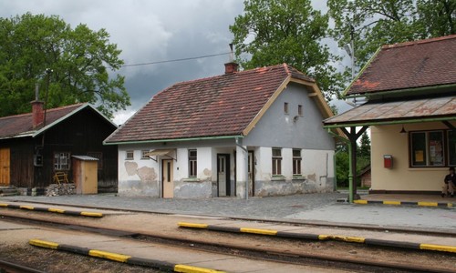 Nenápadná krása kamenických lesů