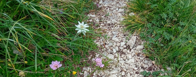 Westwandrampe Rote Flüh: horské lezení než napadne první sníh