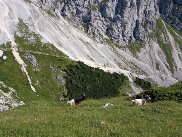 Hüttengrat na Hochwiesler nad Gimpelhaus