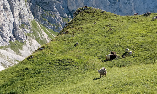 Hüttengrat na Hochwiesler nad Gimpelhaus Hüttengrat na Hochwiesler nad Gimpelhaus
