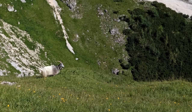 Hüttengrat na Hochwiesler nad Gimpelhaus