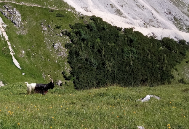 Hüttengrat na Hochwiesler nad Gimpelhaus