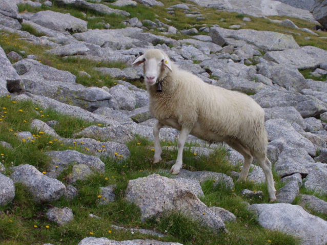 Túra okolo Badilu a Cengala