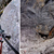 Feráta Johann na Dachstein Feráta Johann na Dachstein