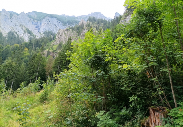 Severozápadní hřeben na Brunnkogel nad Attersee